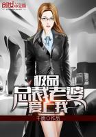 极品总裁赖上我全文