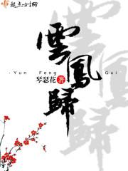 云凤归短剧免费观看