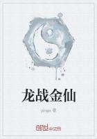 龙战全本