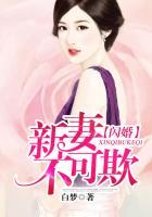 闪婚新妻宠上天