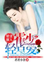 娇妻撩人霍少轻点爱