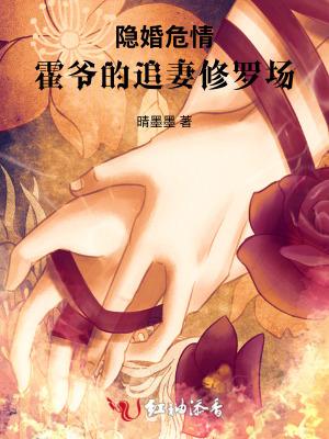 霍少的隐婚娇妻