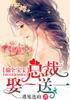 偷个宝宝总裁娶一送一627章作者是否写出来