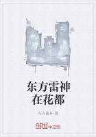 成都东方雷神科技有限公司