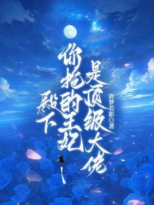 你抢的王妃是顶级大佬