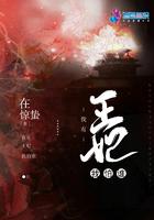 我的王妃有点猛全文免费阅读