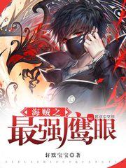 海贼之鹰眼之子