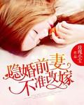 前妻不好追 最新章节 无弹窗