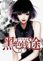 黑色途达图片欣赏