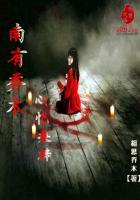 南有乔木下一句