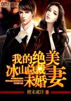 我的冰山美女总裁未婚妻