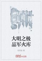 大明之极品军火库完结版