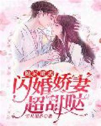 独家蜜婚暖人心脾的豪门爱情