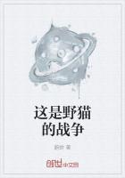 这是野猫的战争英语