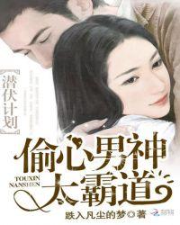 潜伏15年偷钻石的电影名字