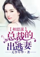 总裁的心尖前妻