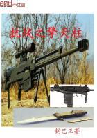 抗战之擎天柱全本