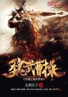 三国之无限召唤陶商