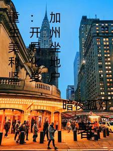 重生美利坚开局化身加州坐地户暗夜孤灯