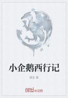 小企鹅西行记故事简介