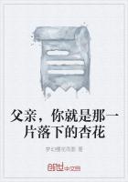 你就是那一片落下的杏花是什么歌