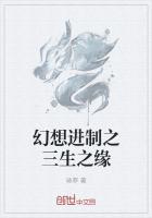 幻想进制之三生之缘在线观看