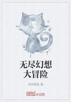 无尽的大冒险攻略