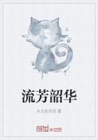 韶华流年的意思