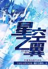 星空之翼歌词