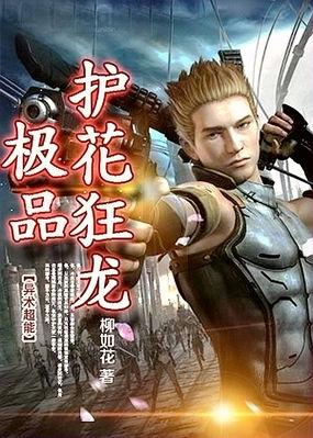 极品护花狂龙原始