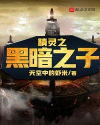 神奇宝贝之黑暗文