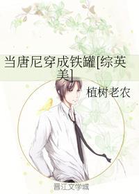 当唐尼穿成铁罐[综英美