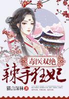 医毒双绝杀手妃