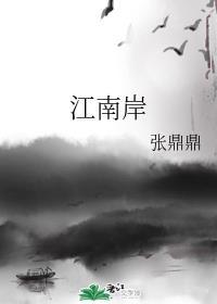 江南岸讲的什么