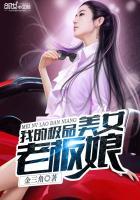 我的极品美女总裁(职场逆袭)