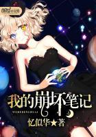我的崩坏战记