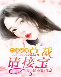 二婚总裁轻轻撩