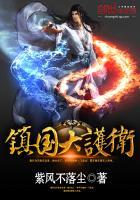 护国大将军和镇国大将军有什么区别