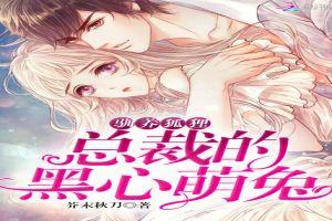 驯养狐狸的伪绅士