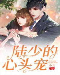 陆少的心尖宠免费阅读全文