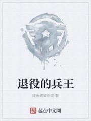 退役兵王和他的小娇夫免费阅读