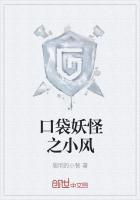 口袋妖怪小风暴