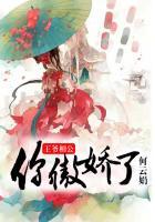 王爷相公太凶猛团宠小萌妃