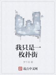 我只是一个