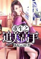 重生之追美记原始版