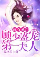 顾少专属免费阅读