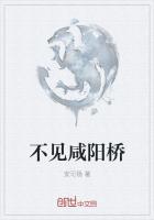 哭声不见咸阳桥