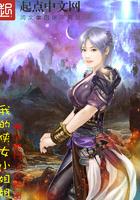 我的女侠剧情分集介绍