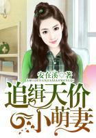 天价追捕闪婚总裁小逃妻