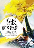 重生之夏晚